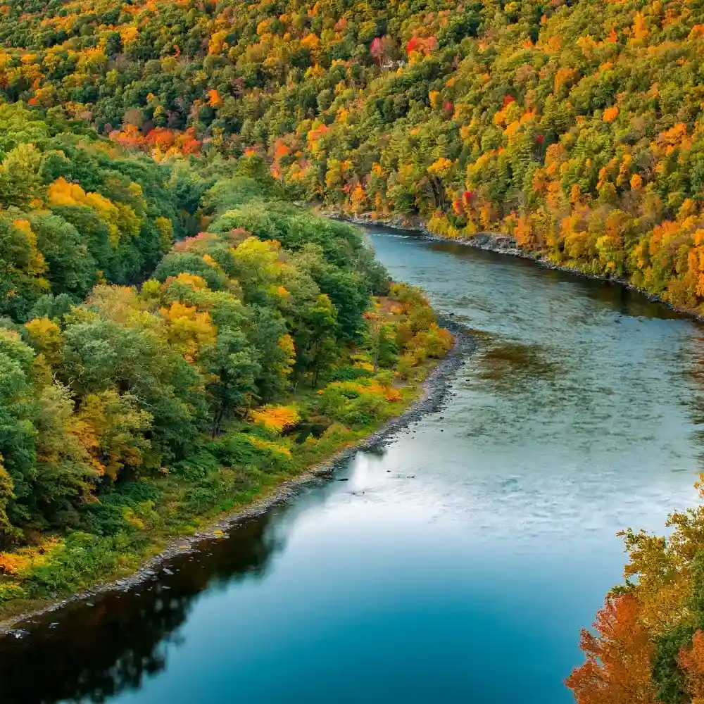 Scenic view of the Delaware River with lush greenery.