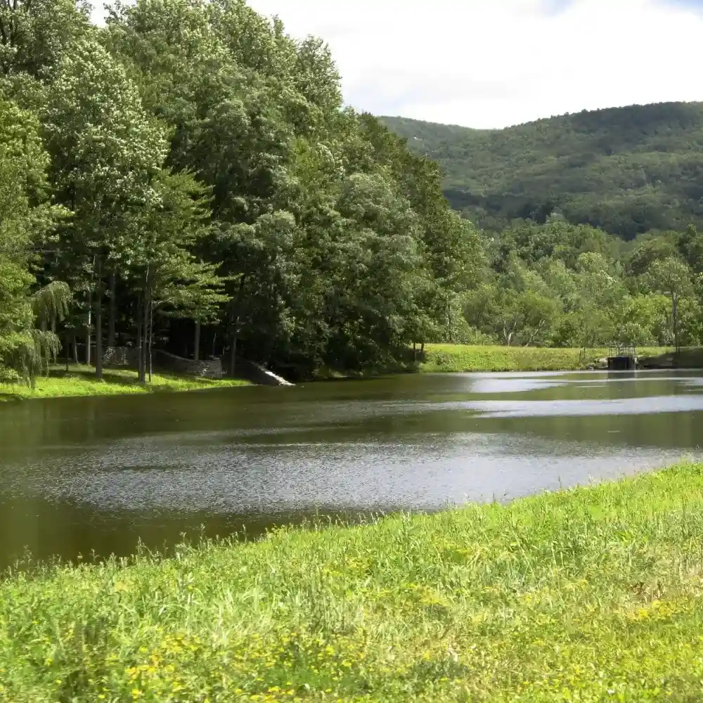 Scenic view of Storm King Art Center with modern sculptures in a lush green landscape.