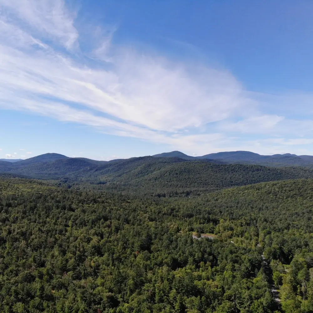 Scenic landscape of Upstate NY with rolling hills and lush greenery